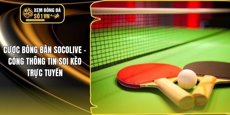 Cược Bóng Bàn Socolive - Cổng Thông Tin Soi Kèo Trực Tuyến