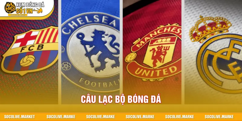 Câu lạc bộ bóng đá