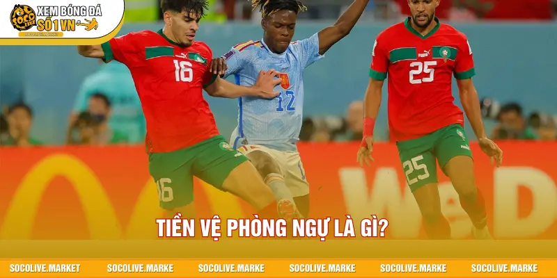 Tiền Vệ Phòng Ngự Là Gì? Chốt Chặn An Toàn Ở Tuyến Giữa Sân Cỏ